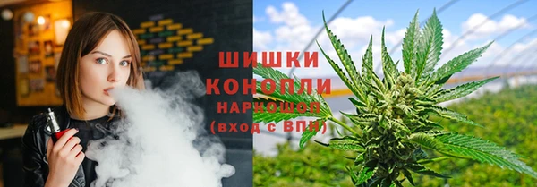 мяу мяу мука Алзамай